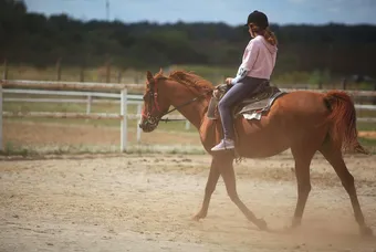 argentine cavaliers gauchos
