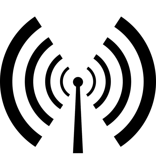 sport et entreprise radio fm