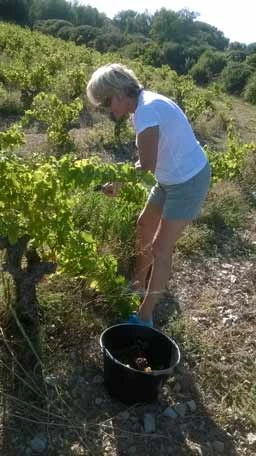 L'Originel des Clos de Miège