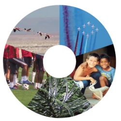 Plaquette commerciale Doly & Partners